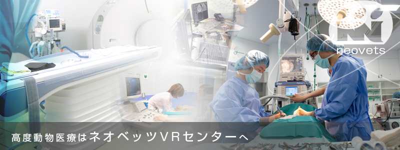 ネオベッツVRセンター（MRI・CT完備）｜大阪の動物病院