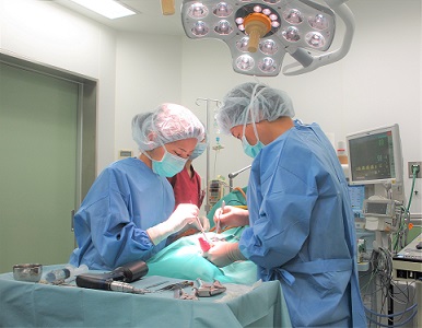 日高先生紹介 2018.1.23 | 株式会社ネオベッツ